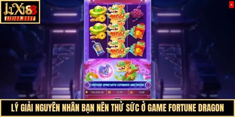 Lý giải nguyên nhân bạn nên thử sức ở game Fortune Dragon